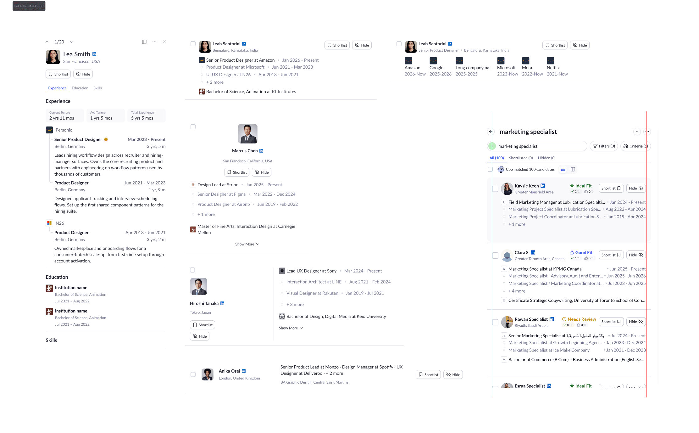 Candidate profile and results layouts from the Passive Search brief